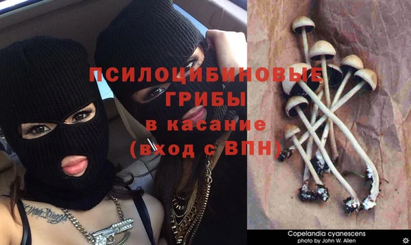 меф VHQ Инта