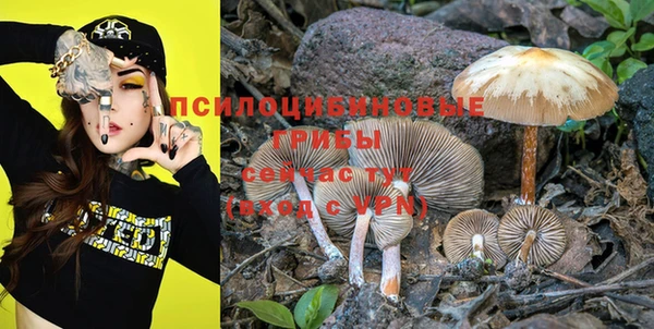 прущие крисы Иннополис