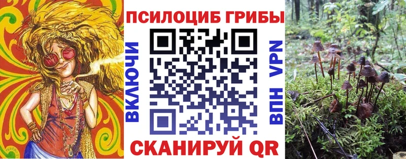 Купить  Лакинск  Псилоцибиновые грибы GOLDEN TEACHER 